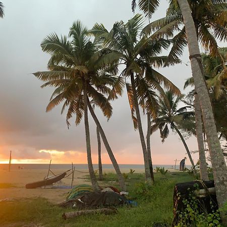 Shoreline Marari Beach Villa At Golden Beach Mararikulam Alappuzha ภายนอก รูปภาพ