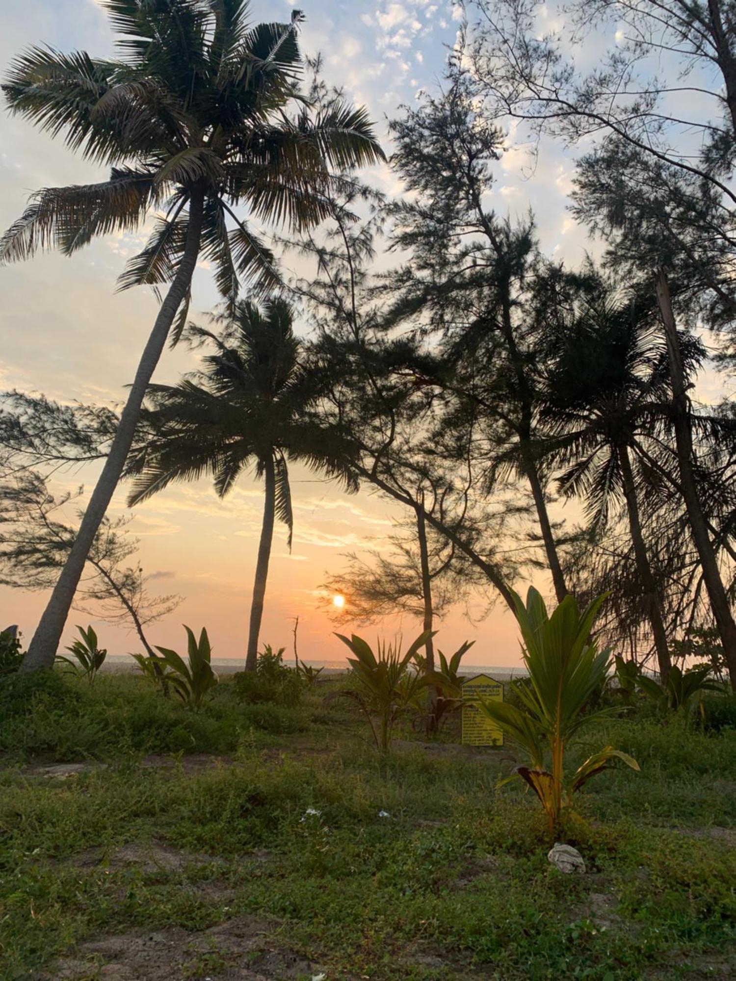 Shoreline Marari Beach Villa At Golden Beach Mararikulam Alappuzha ภายนอก รูปภาพ