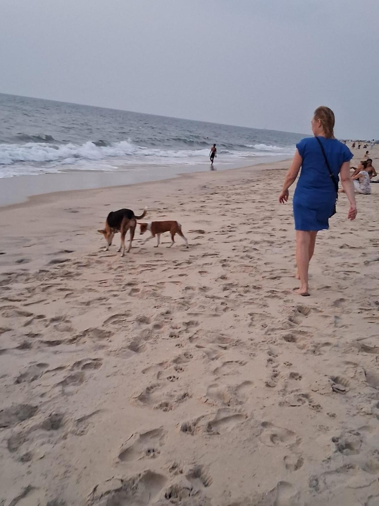 Shoreline Marari Beach Villa At Golden Beach Mararikulam Alappuzha ภายนอก รูปภาพ